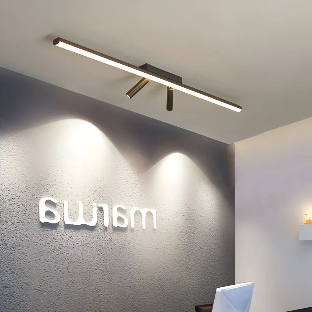 Acanthus - Verstelbare LED Railspot Plafondlamp