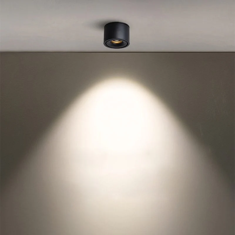 Alira - Verstelbare Cilinder Inbouw LED Plafondlamp - Image 19