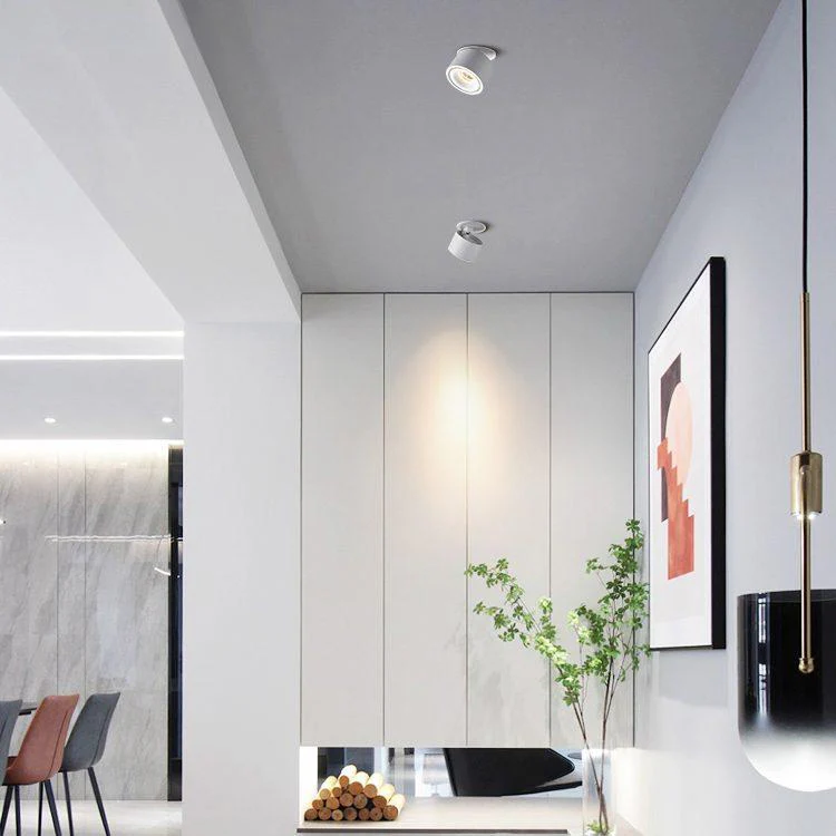 Alira - Verstelbare Cilinder Inbouw LED Plafondlamp - Image 9