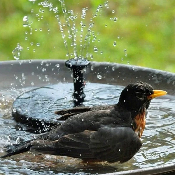 Aqualisse – Zonne energie fonteinpomp voor tuin waterpartij - Image 5