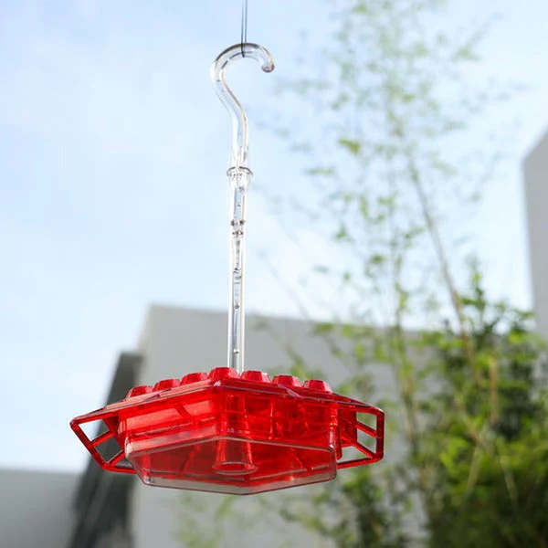 Avelionn – Hangende nectar feeder met ant moat voor kolibries