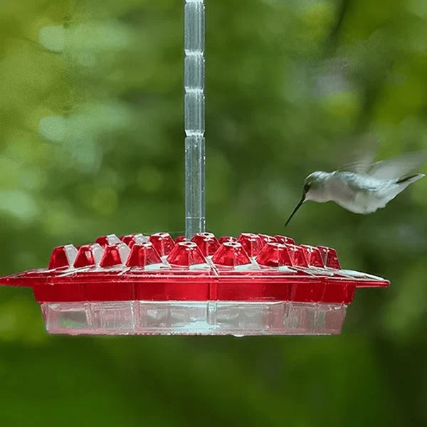 Avelionn – Hangende nectar feeder met ant moat voor kolibries - Image 5