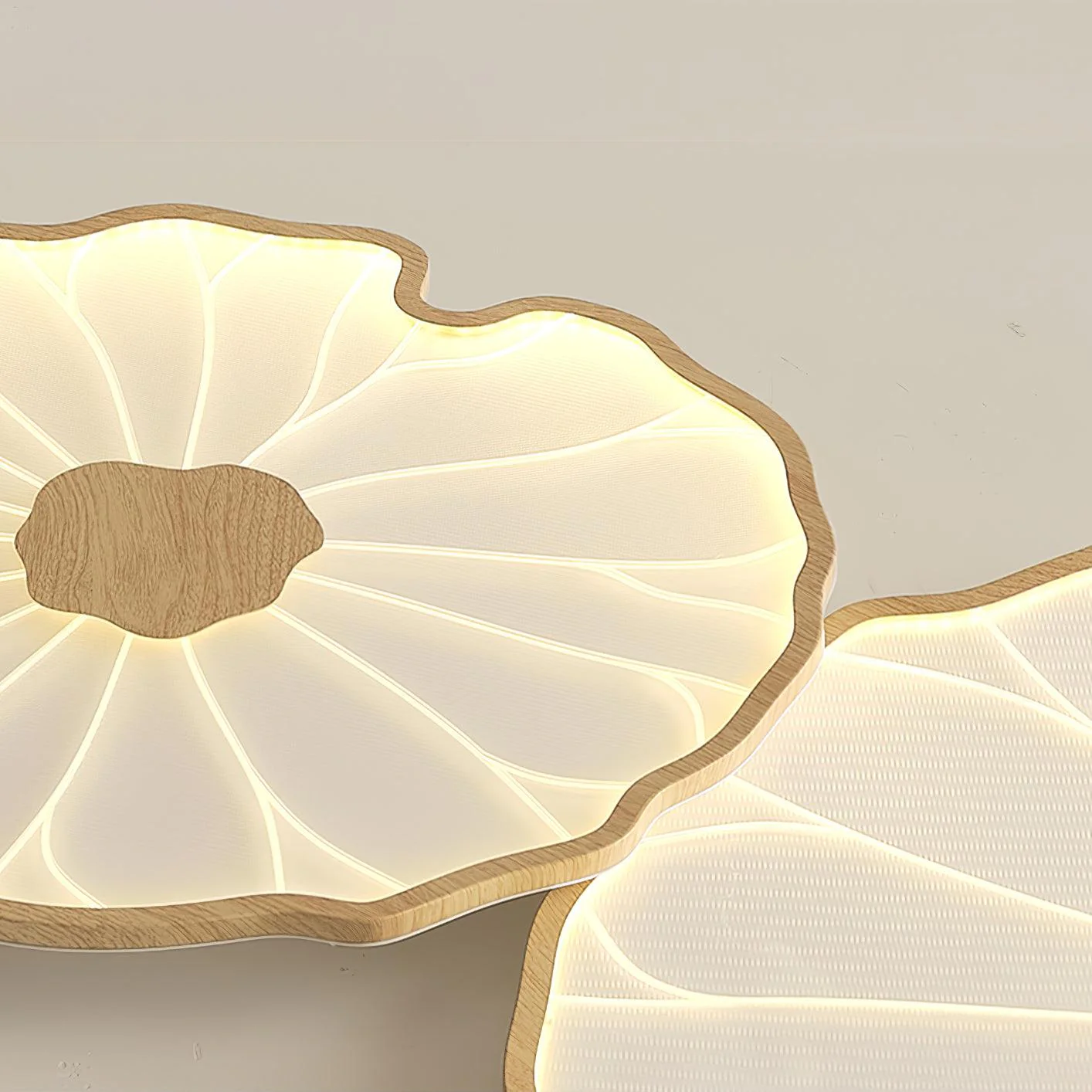 Avinar – Bladvormige Plafondlamp - Image 14
