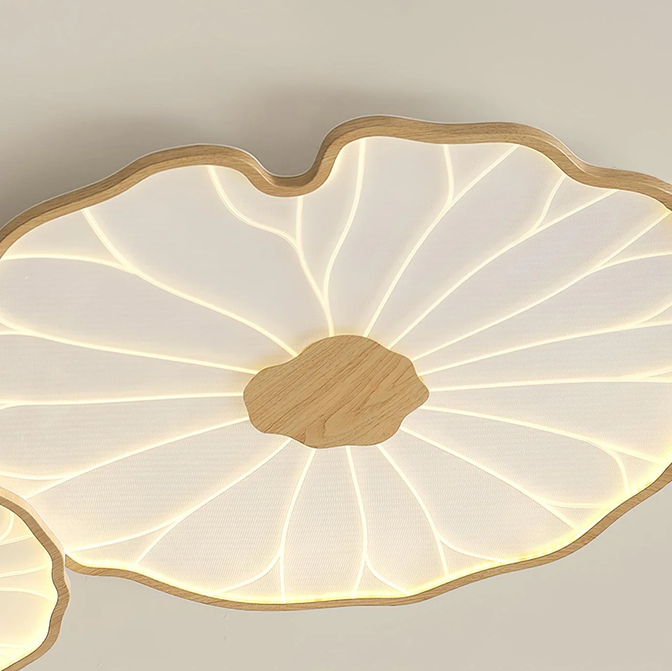 Avinar – Bladvormige Plafondlamp - Image 16