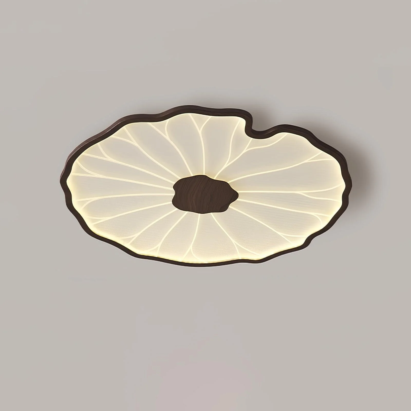 Avinar – Bladvormige Plafondlamp - Image 17