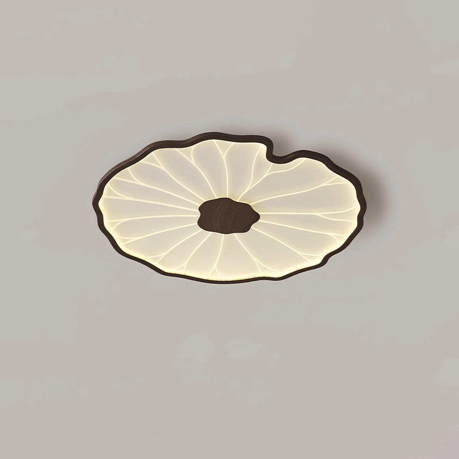 Avinar – Bladvormige Plafondlamp - Image 20