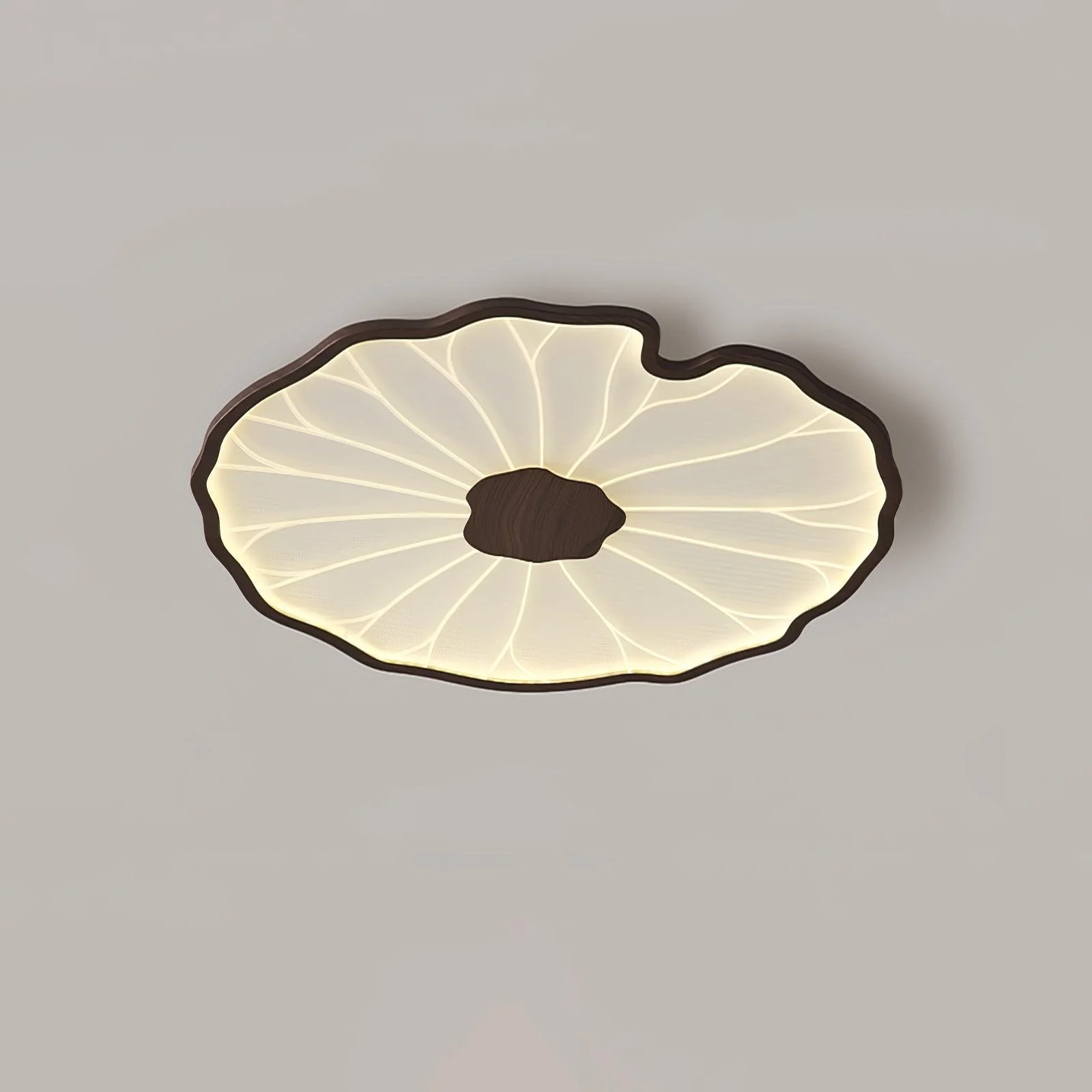 Avinar – Bladvormige Plafondlamp - Image 6