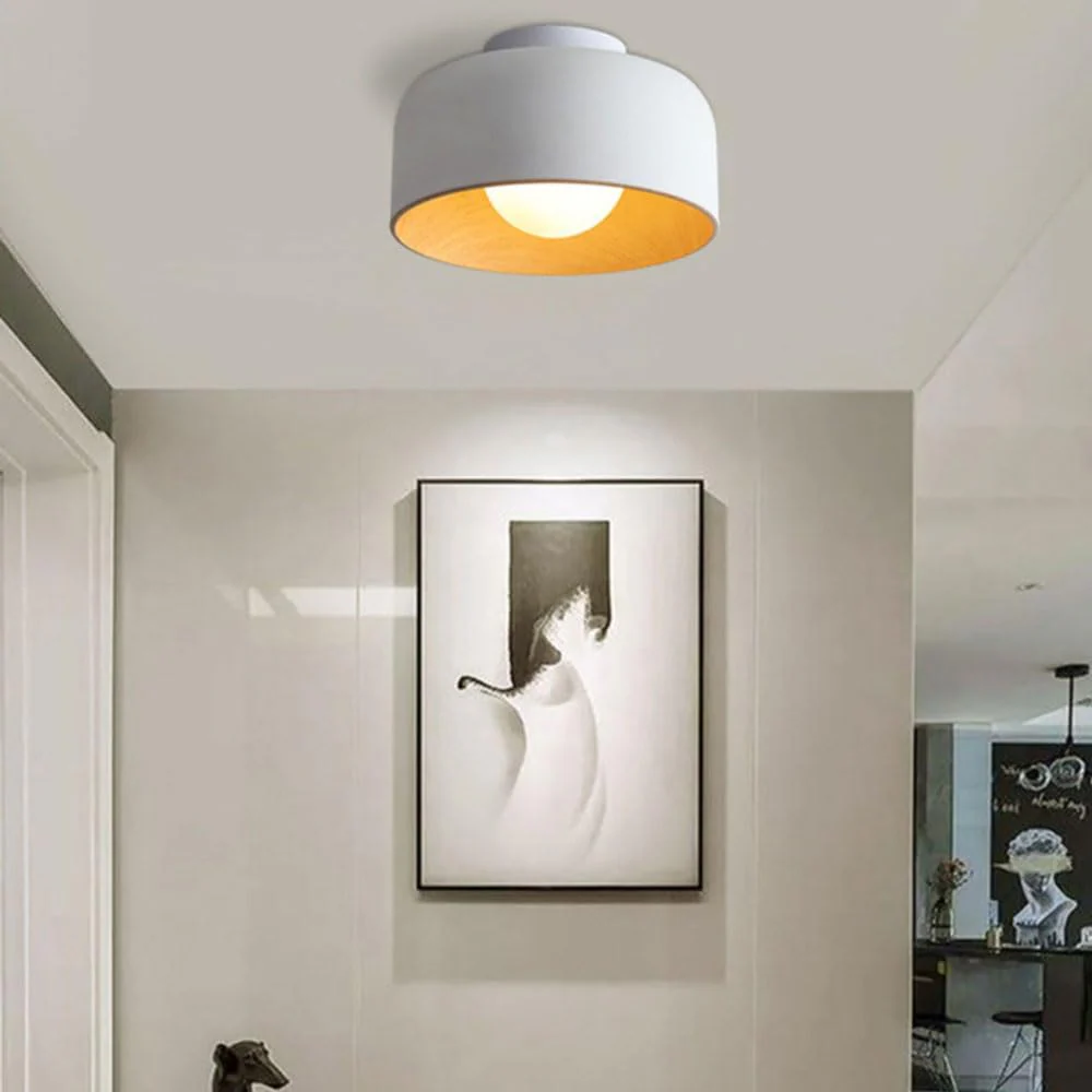 Coscona - Eenvoudige Metalen Plafondlamp - Image 14