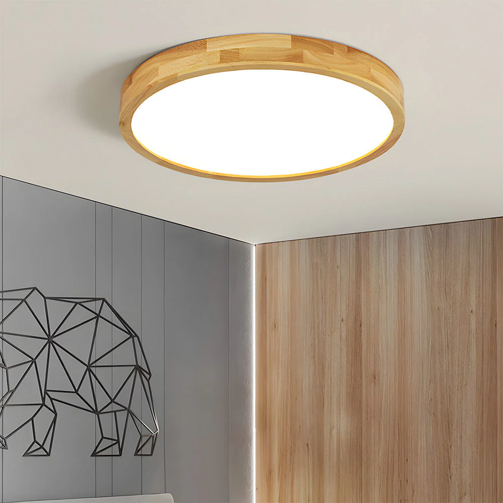 Erlivon – Plafondlamp - Image 20