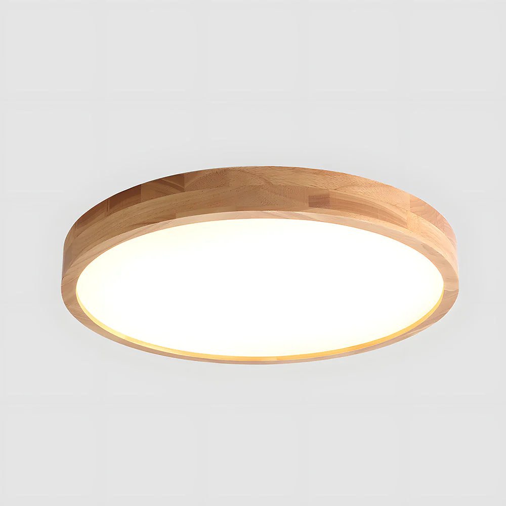 Erlivon – Plafondlamp - Image 29