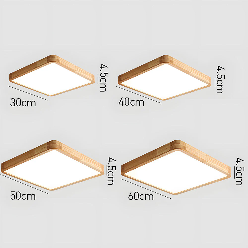 Erlivon – Plafondlamp - Image 34