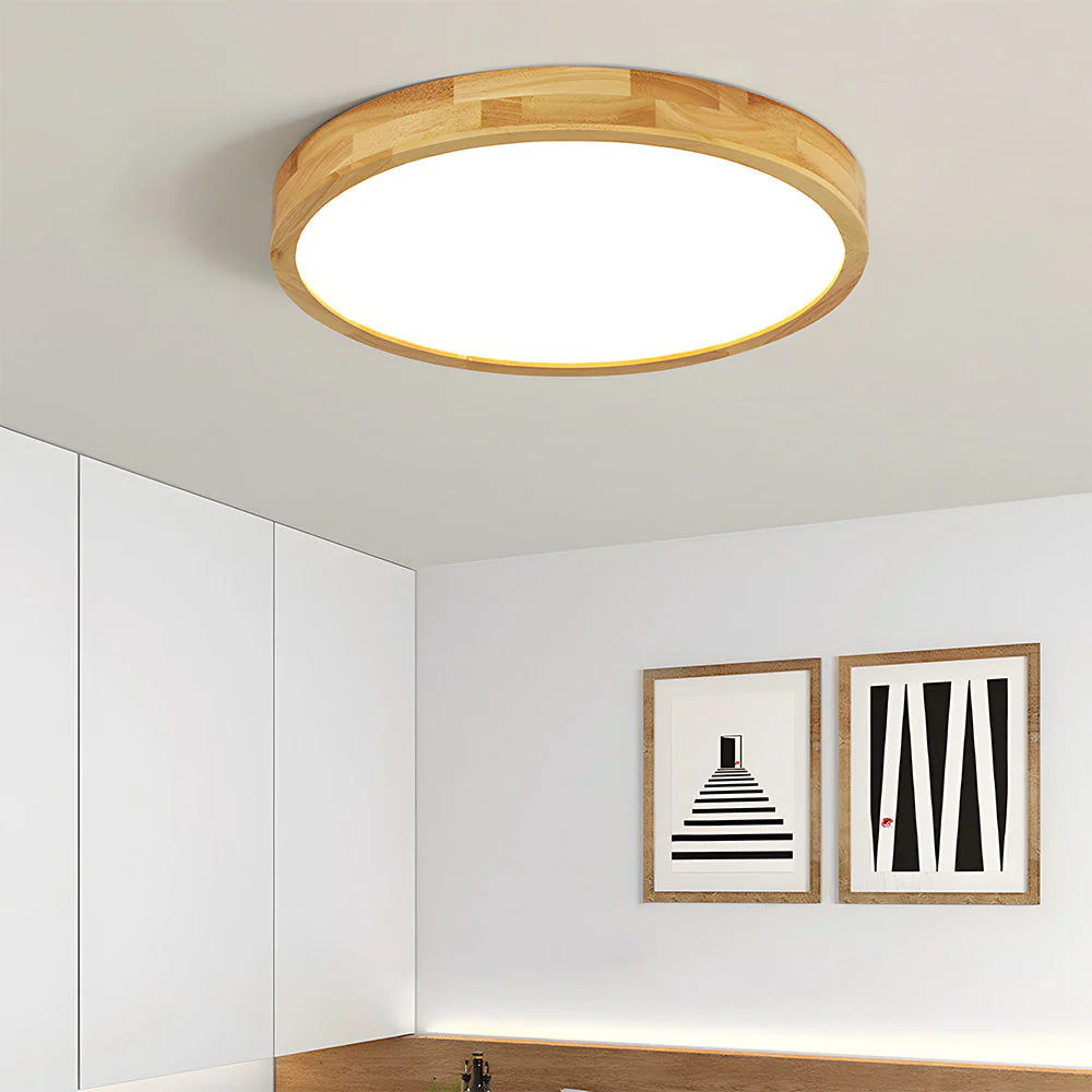 Erlivon – Plafondlamp - Image 4