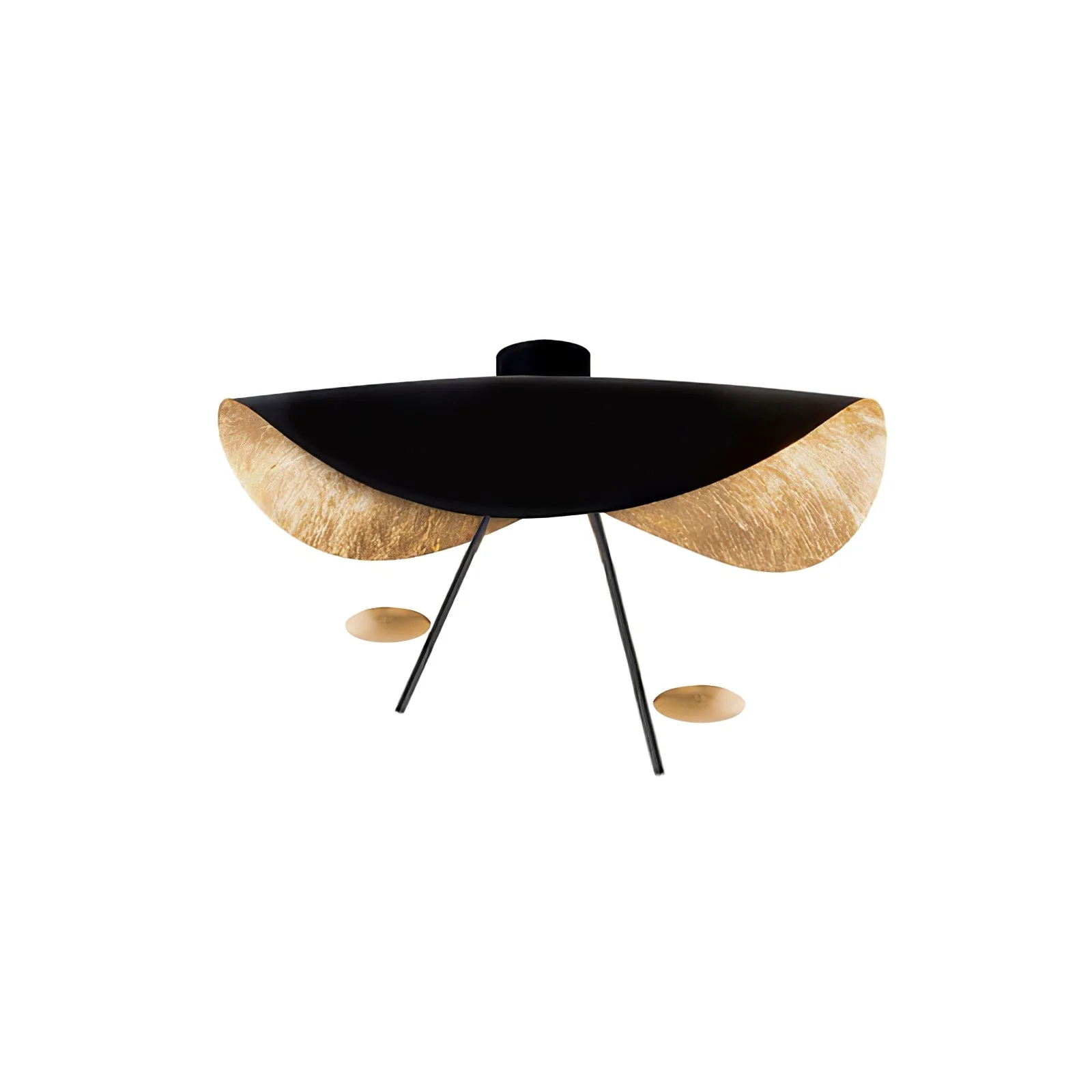 Georgoa - Moderne Plafondlamp - Image 5