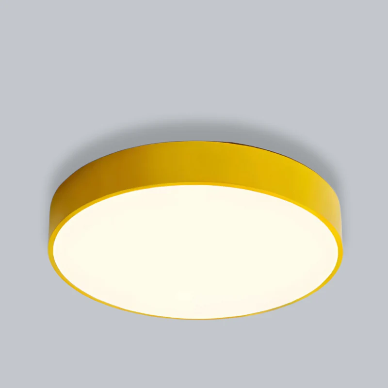 Iserene - Ronde Dimbare LED Plafondlamp - Image 4