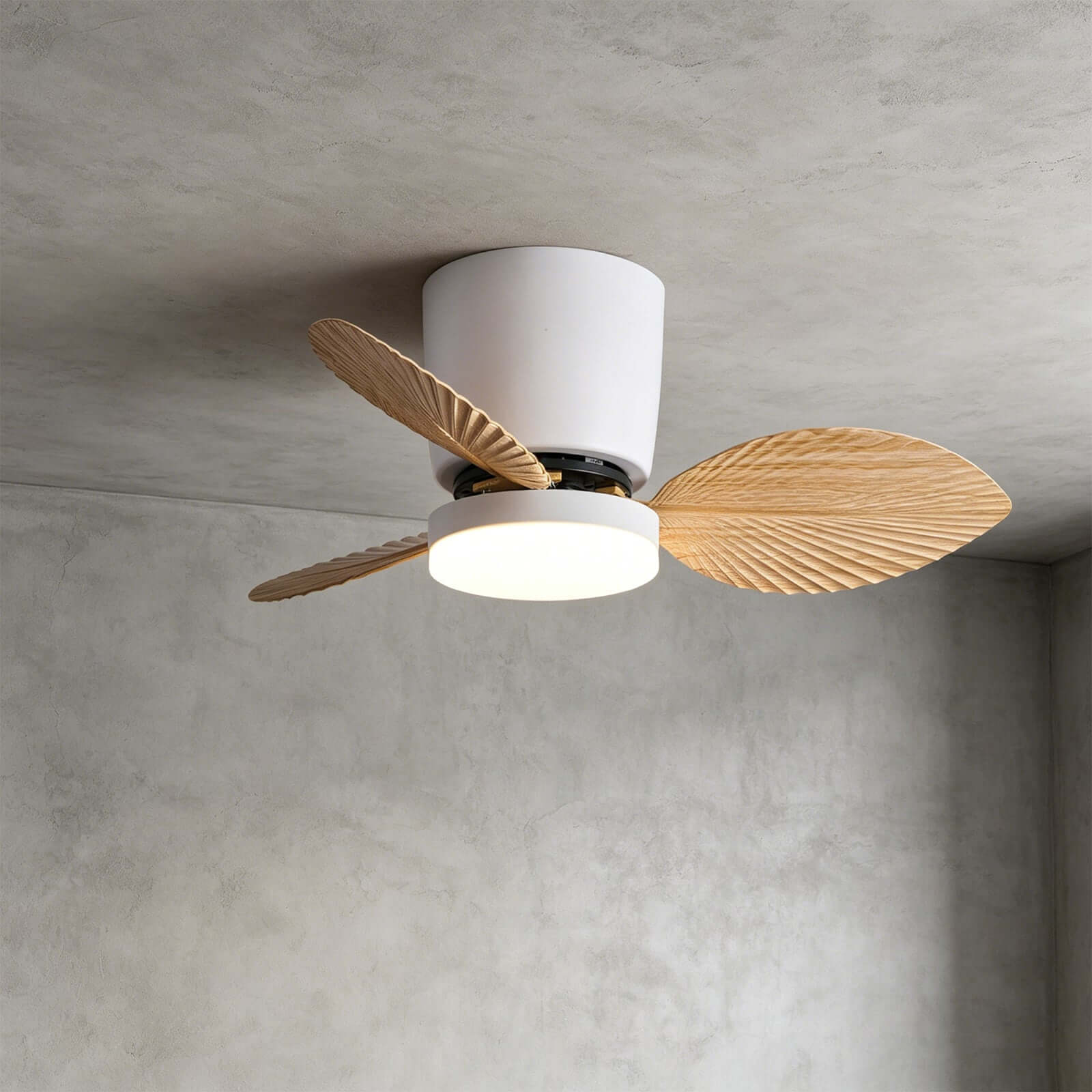 Novarynd – Plafondventilator Met Verlichting - Image 2