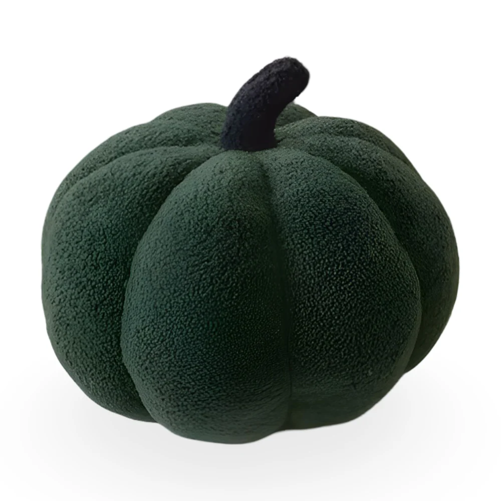Novelle – Textuur Pompoen Pluche Kussen - Image 3