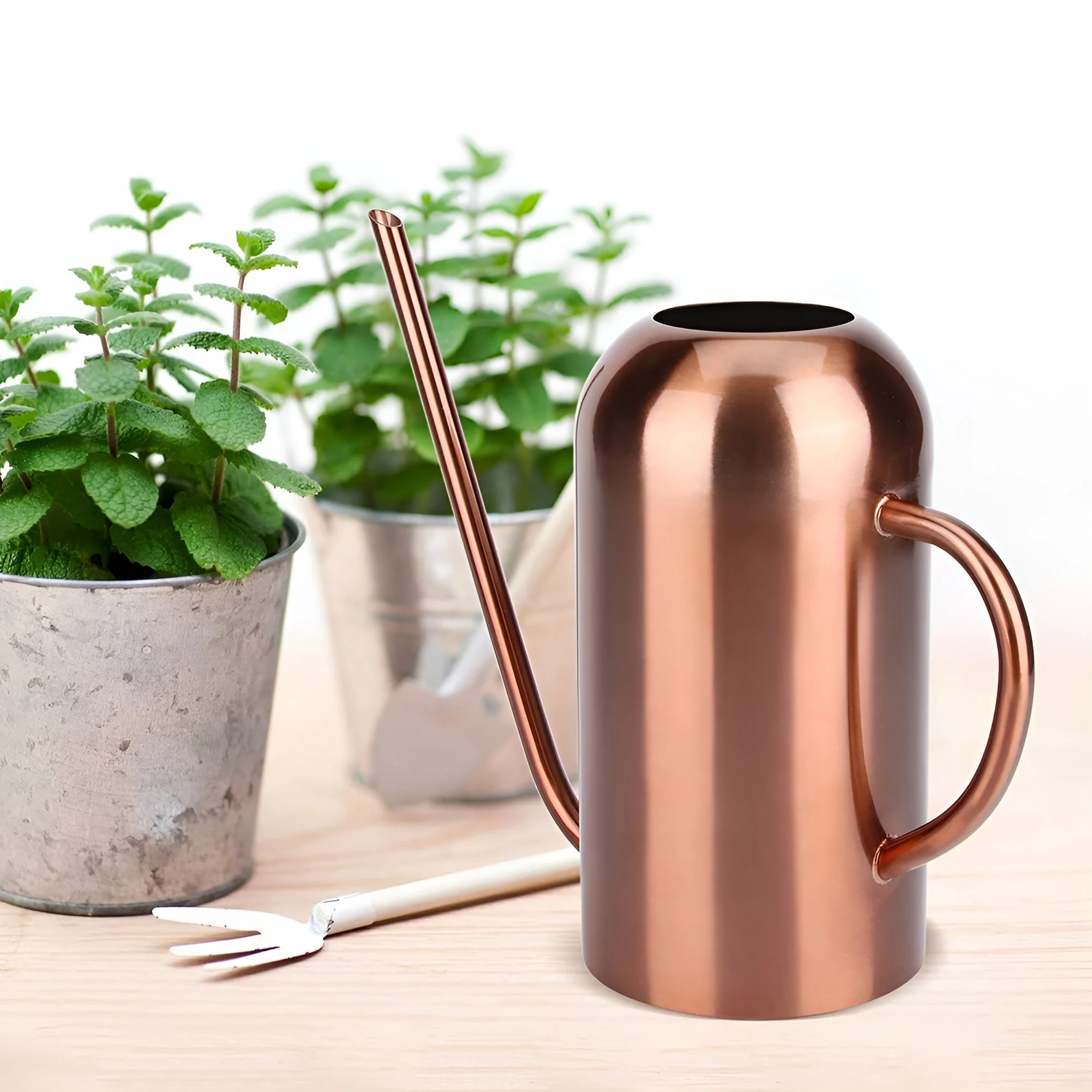 Silvoria – RVS Gieter 1,5L Met Lange Tuit - Image 3