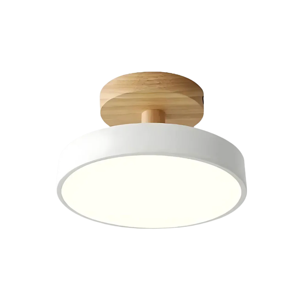 Soreia - Compacte Moderne LED Plafondlamp - Image 18