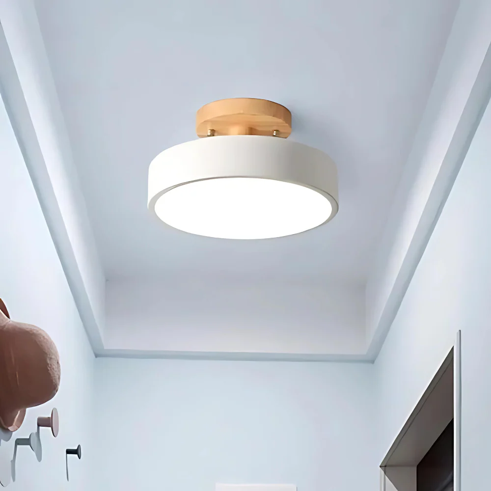 Soreia - Compacte Moderne LED Plafondlamp - Image 7