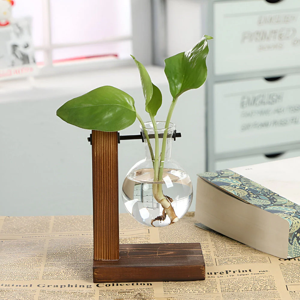 Miniatuur 2