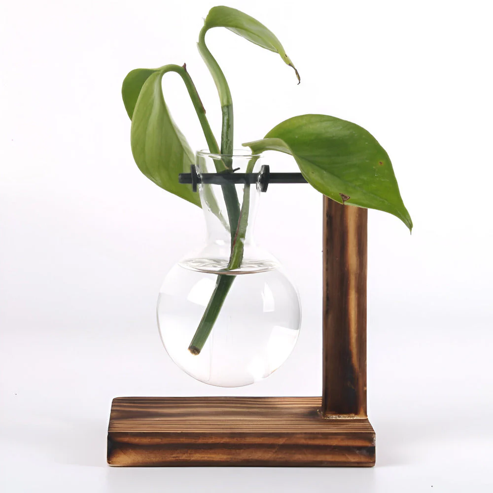 Valethra - Rustieke Houten Hydrocultuur Plantenhouder - Image 5