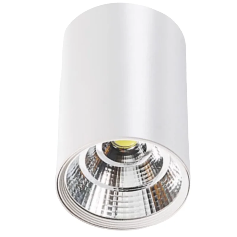 Velorinda – Dimbare LED Inbouwspot Plafondlamp