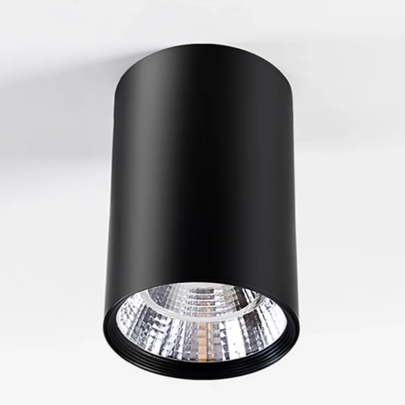 Velorinda – Dimbare LED Inbouwspot Plafondlamp - Image 4