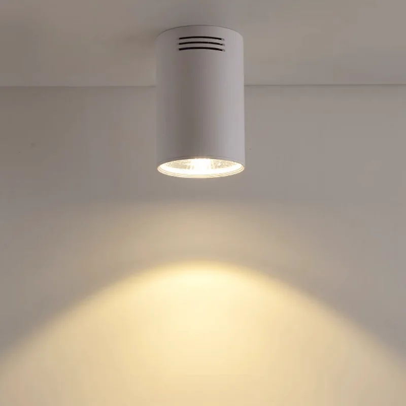 Velorinda – Dimbare LED Inbouwspot Plafondlamp - Image 9
