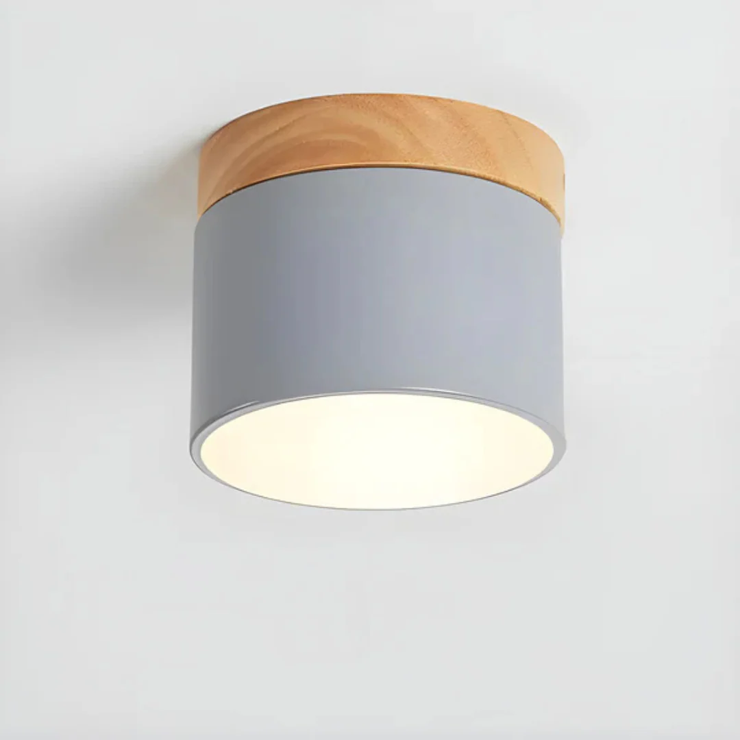 Vesta - Vintage LED Plafondlamp - Image 8